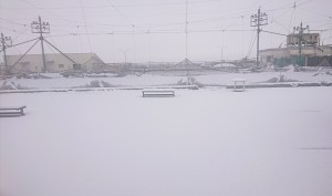 恋しい(？！)雪【レックテニススクール】