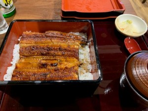 鰻