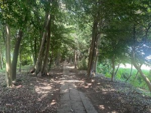 画像１