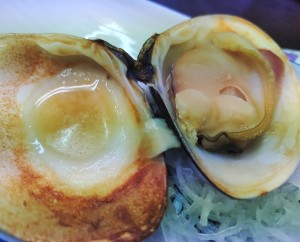 9a729457-e64b-40ec-bb3d-f0974d73cddd~1