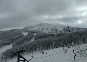 2e2f41fb-7fa3-4937-89d3-bc432d37ae99~1