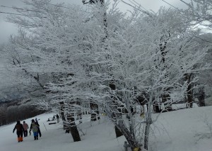 ec1f4af7-1eba-40e1-af7c-6e60008a84c7~1