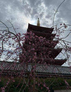 女子散歩＠浅草【レックテニススクール】