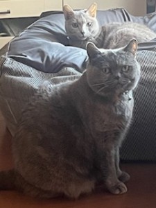 二匹とも仲良しになりました？？？【レックテニススクール】