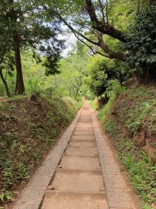 sakai0502㈬