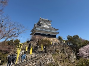 今年見た桜【レックテニススクール】