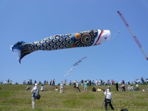 IMG_9405