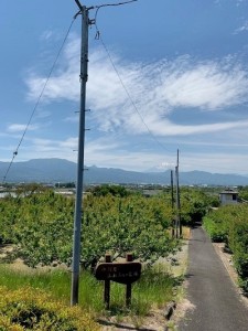 sakai0602②